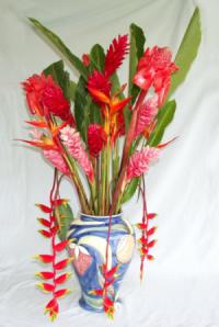 Composition de fleurs tropicales