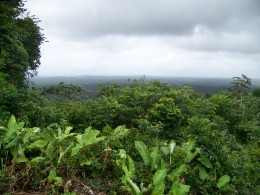 Vue depuis le carbet de l'ONF